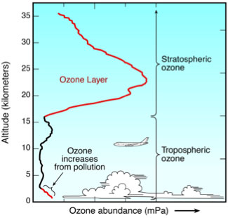 Un esempio di profilo verticale di concentrazione di ozono in atmosfera