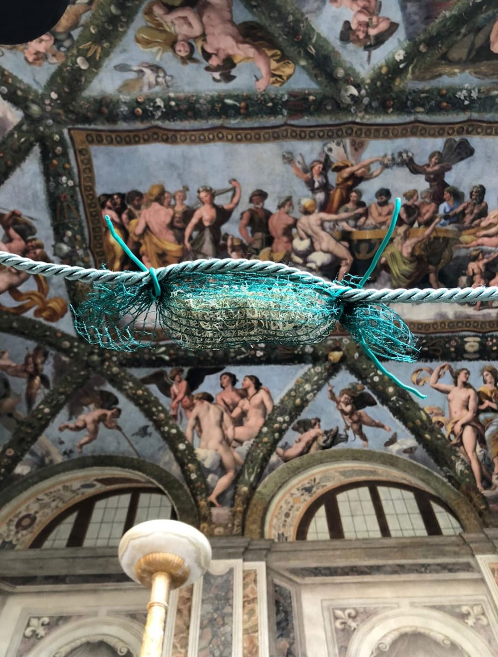 Lichene esposto a Roma, presso la Loggia di Amore e Psiche di Villa Farnesina, affrescata da Raffaello: studio dell’impatto del traffico veicolare sulle opere d’arte. artide1