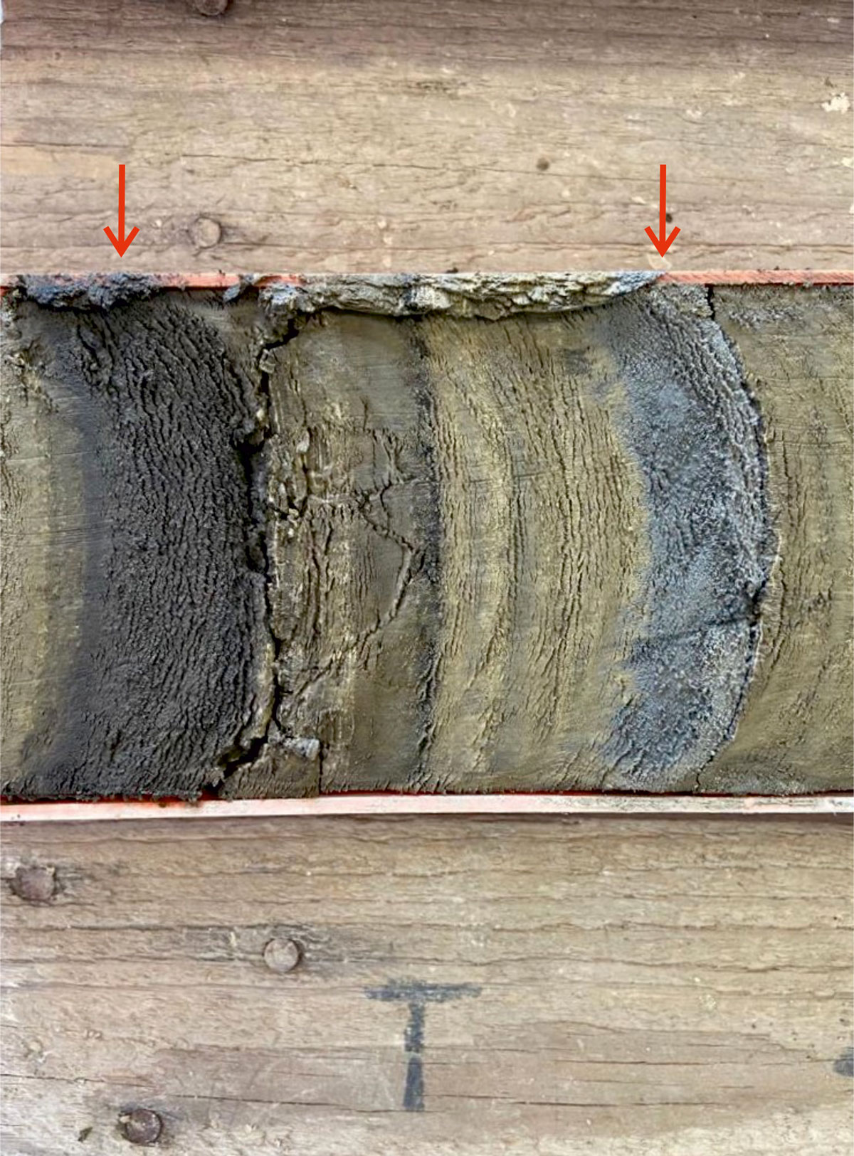 Due tefra macroscopici (frecce rosse) identificati nella sequenza di sedimenti lacustri campionata nel mar di Castiglione, situato circa a 20 km est di Roma, nell’ambito del progetto INGV AMUSED Fucina4