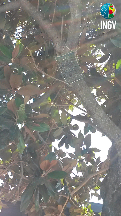 Lichen bag, telaio in plastica contenente i licheni esposti per circa 5 mesi Artide Antartide 1 logo