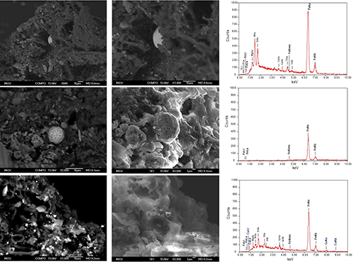 Immagini al microscopio elettronico e spettroscopiche dei particolati magnetici accumulati dai licheni Artide Antartide 3