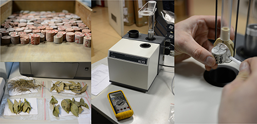 La misurazione della suscettività magnetica di campioni di roccia e di foglie Artide Antartide 5